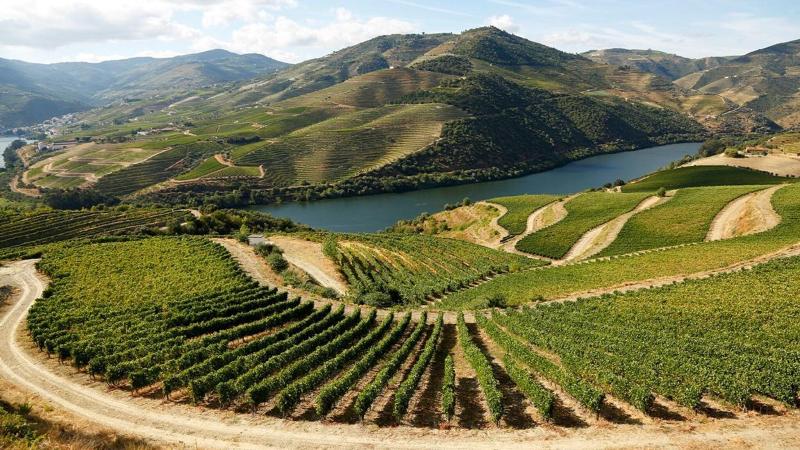 Ventozelo Hotel & Quinta