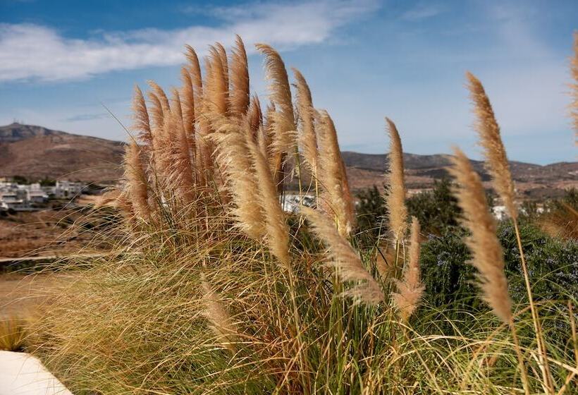 Ventu Paros Villa