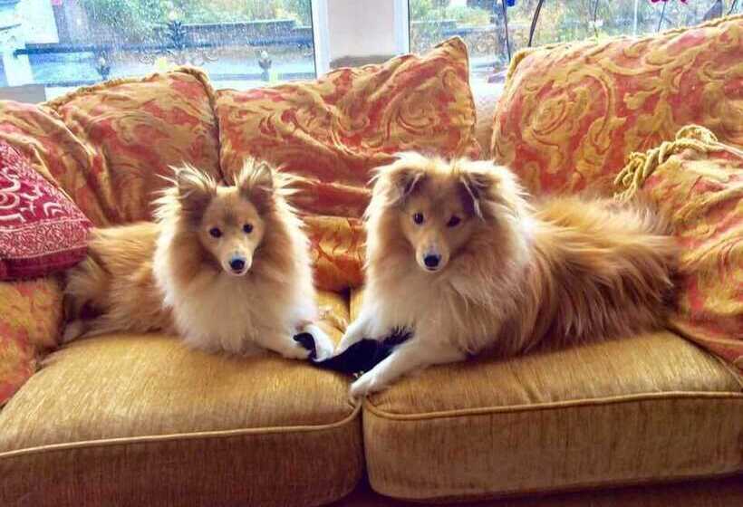 Albany House Bed And Breakfast