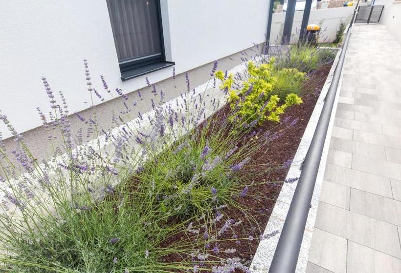 Modern Adora Apartment