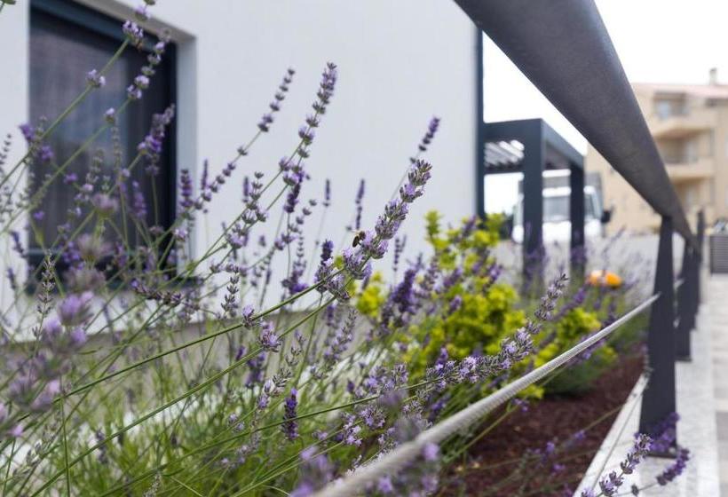 Modern Adora Apartment