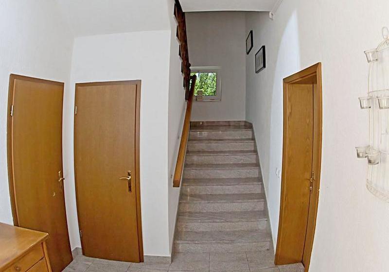 Отель Apartaments Damir