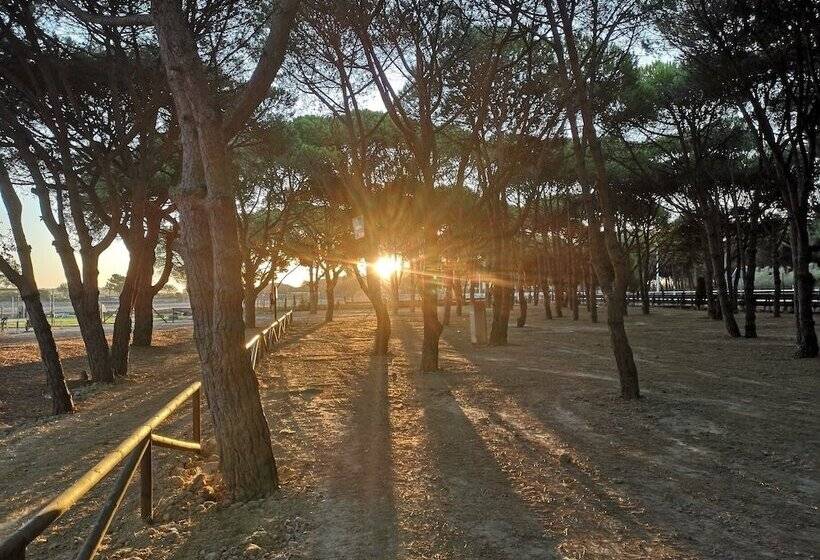 酒店 Camping Playa Taray