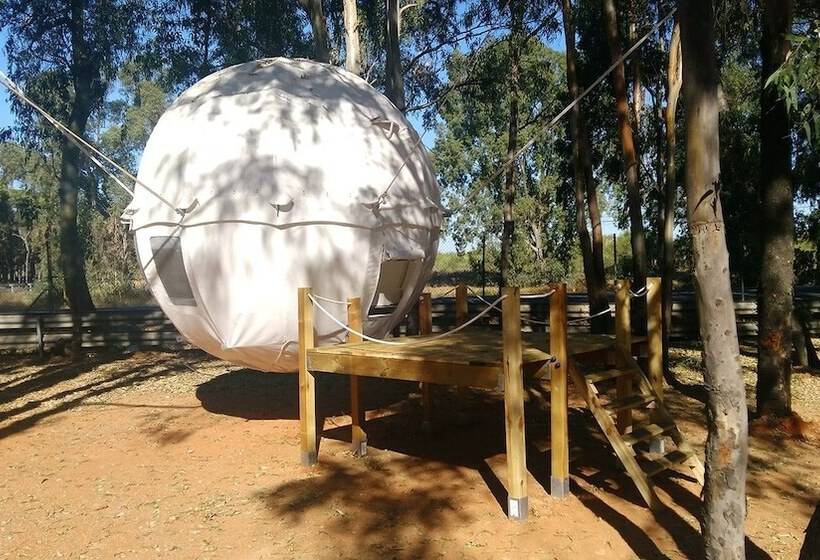 酒店 Camping Playa Taray