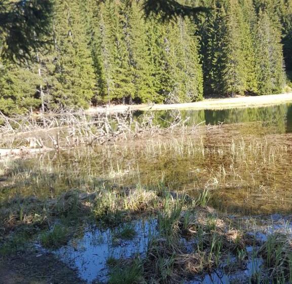 בית מלון כפרי семеен хотел кристал