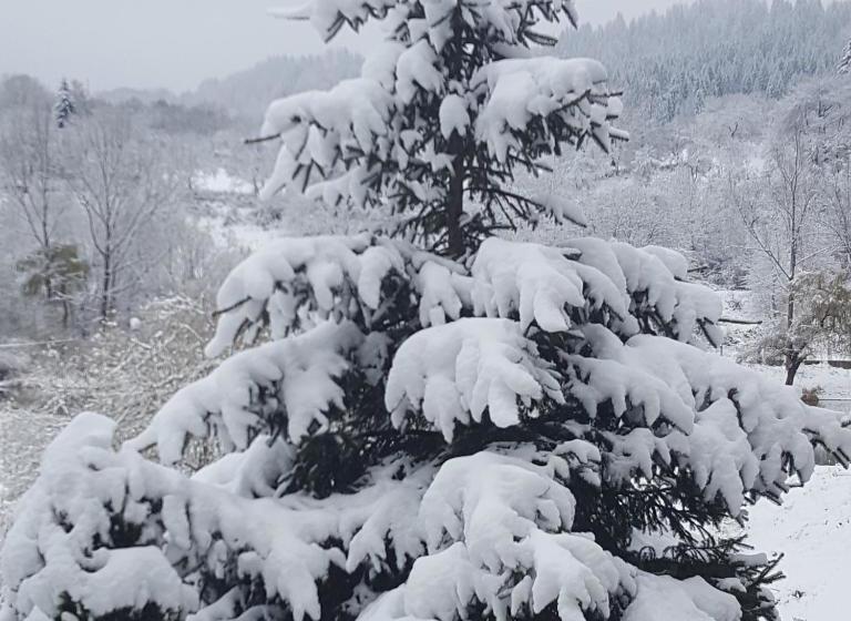 בית מלון כפרי семеен хотел кристал