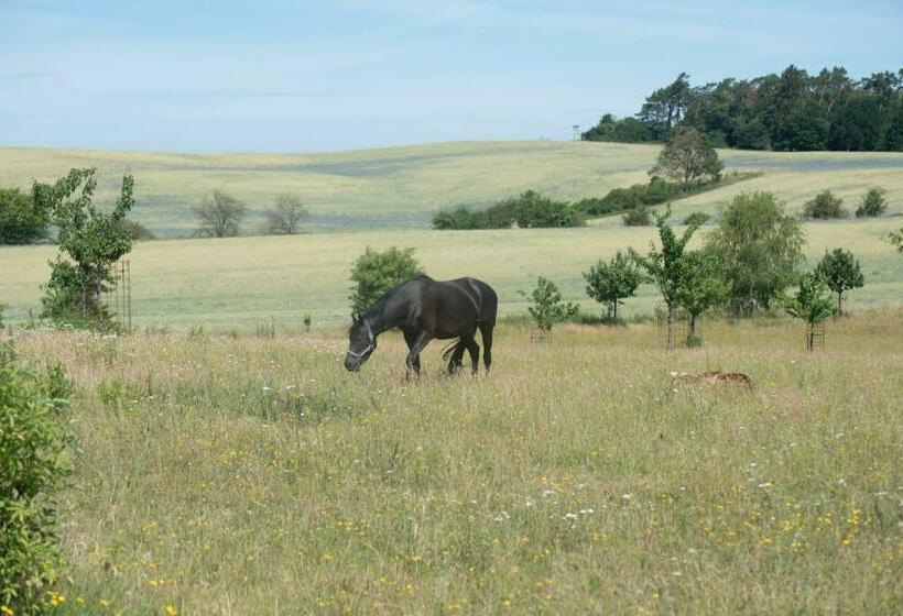 호텔 Golchener Hof