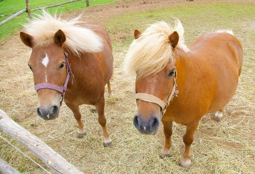 호텔 Golchener Hof