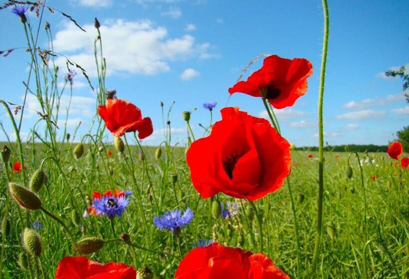 호텔 Golchener Hof