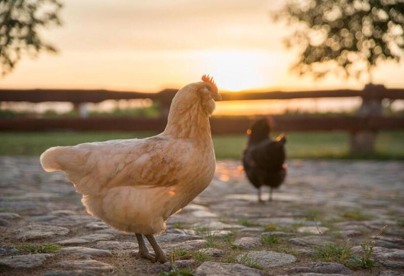 호텔 Golchener Hof