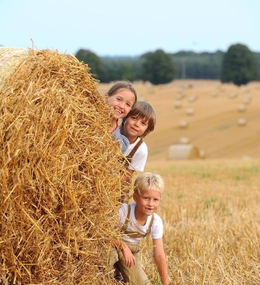 호텔 Golchener Hof