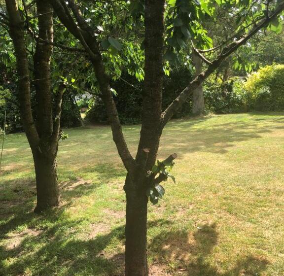 ホテル Guesthouse Trabjerg