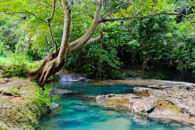 هتل Javacove Beach