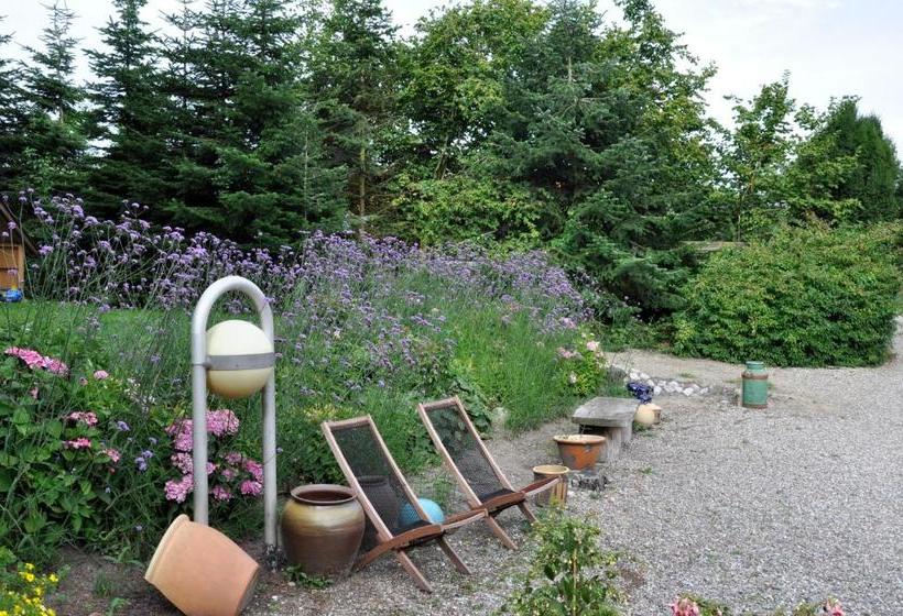 호텔 Lundsgaard Bed & Breakfast