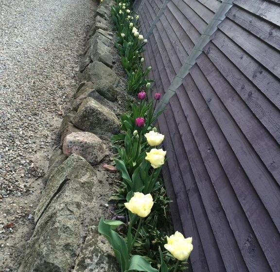 호텔 Lundsgaard Bed & Breakfast