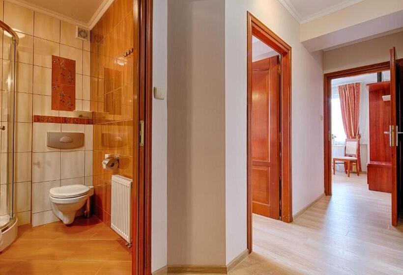 هتل Pensjonat Dawidek