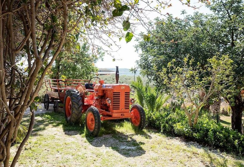 Сельский отель Agriturismo Baglio Vecchio