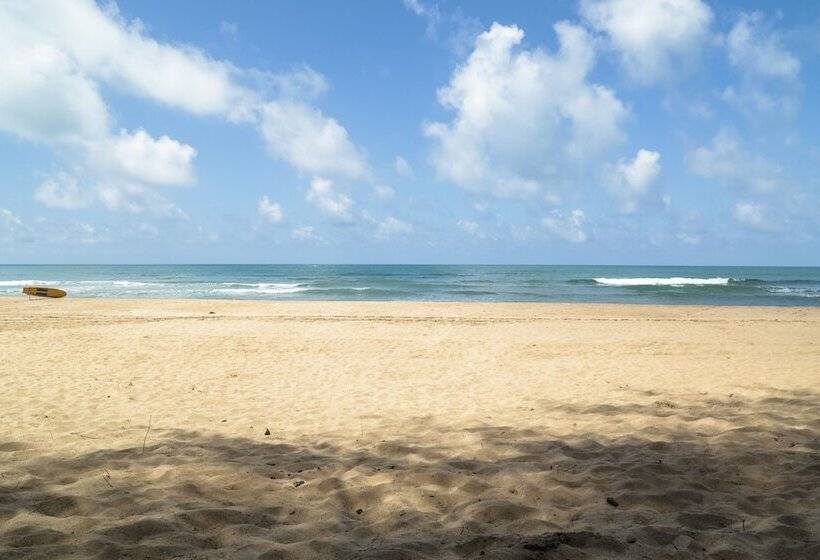 בית מלון כפרי Simrose Resort South End Of Agonda Beach