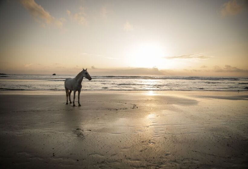 בית מלון כפרי Simrose Resort South End Of Agonda Beach