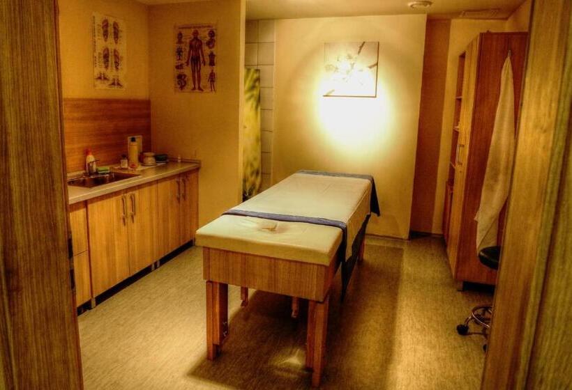 ホテル Sorea Trigan