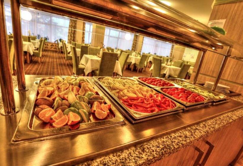 ホテル Sorea Trigan