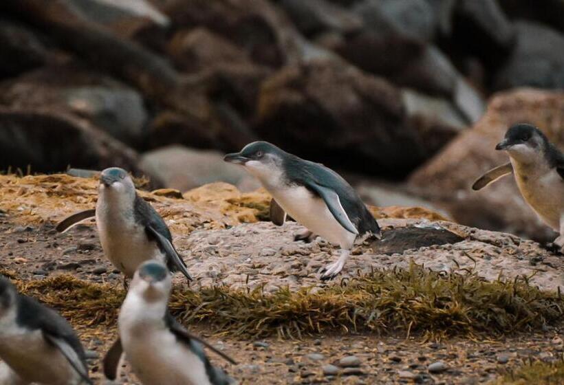 호텔 The Vicarage Boutique Bed And Breakfast Oamaru