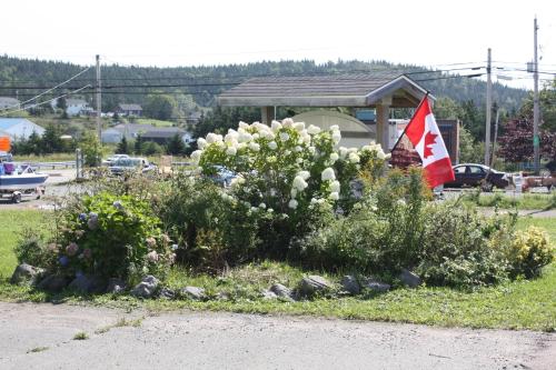 فندق Yellow Seabird B&b Inn