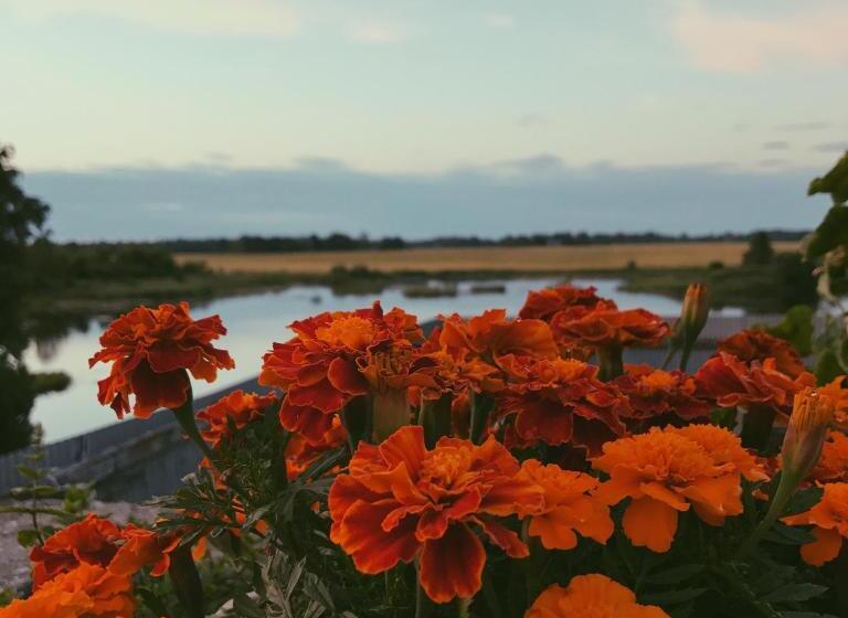 Ilmatsalu Motell