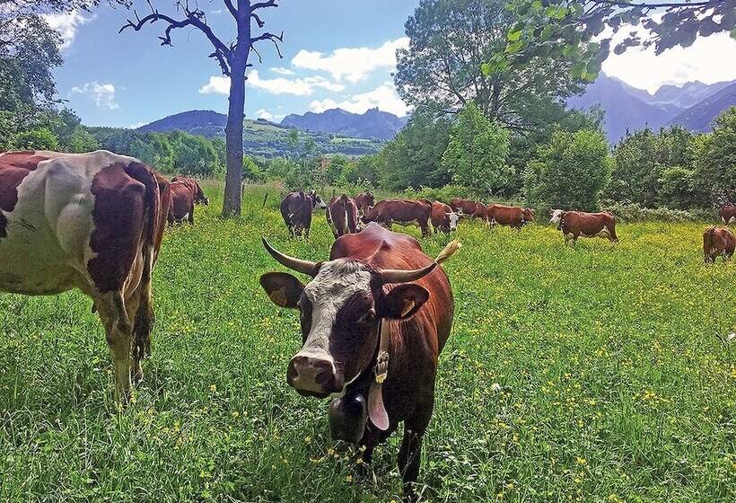 L Ourserie Bed & Breakfast