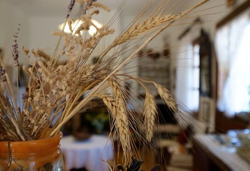 Traditional Cretan Family Home