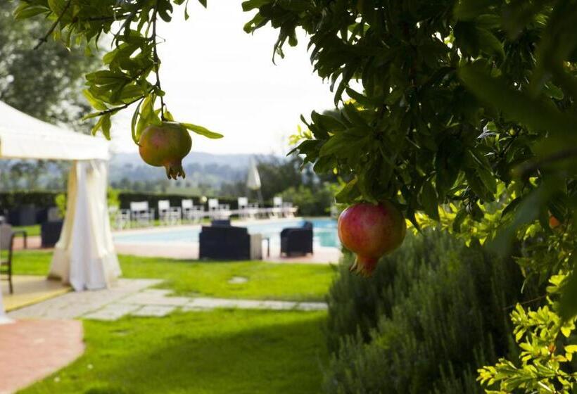 ホテル Agriturismo Marrucola