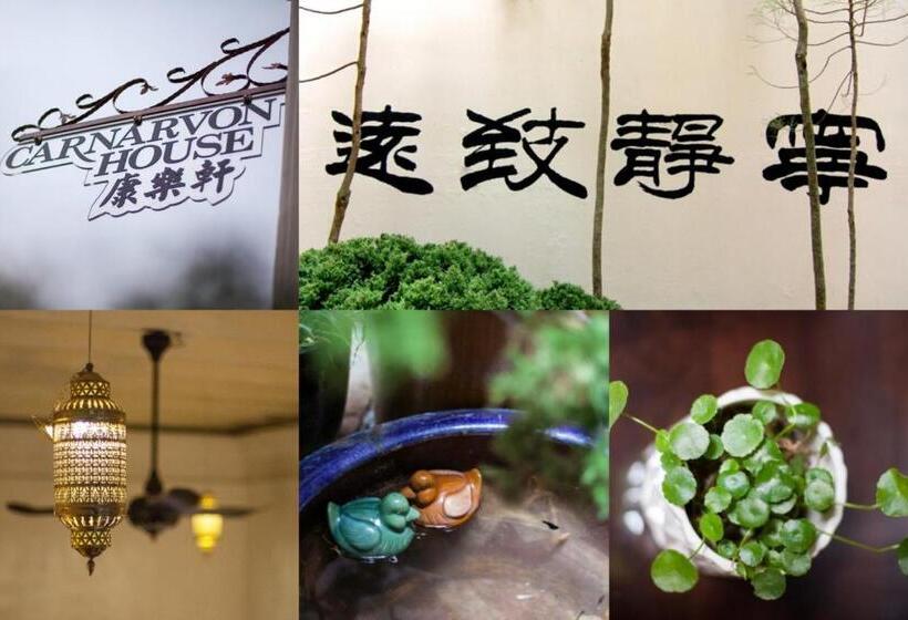 בית מלון כפרי Carnarvon House