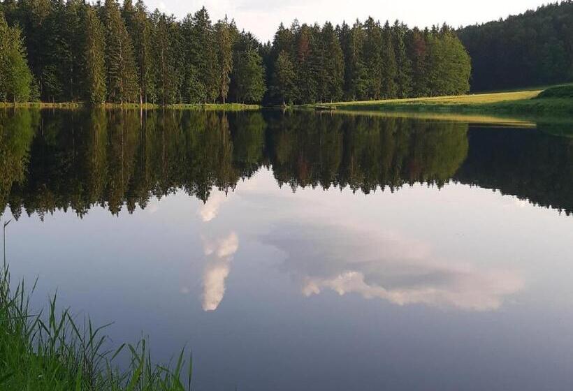 酒店 Gästehaus Am Goldberg