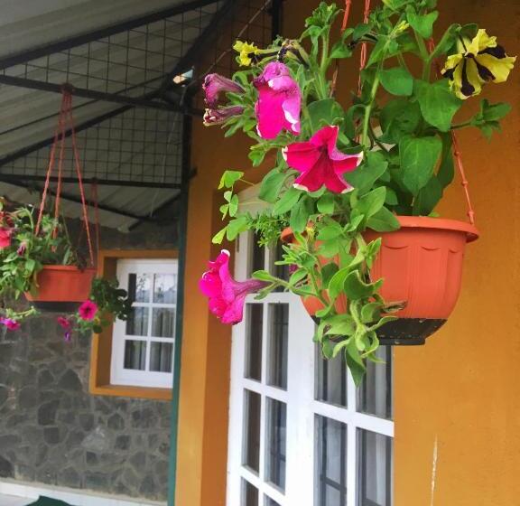 فندق Lady Horton Bungalow