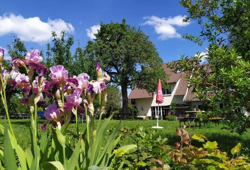 בית מלון כפרי Landgasthof Zum Rappen