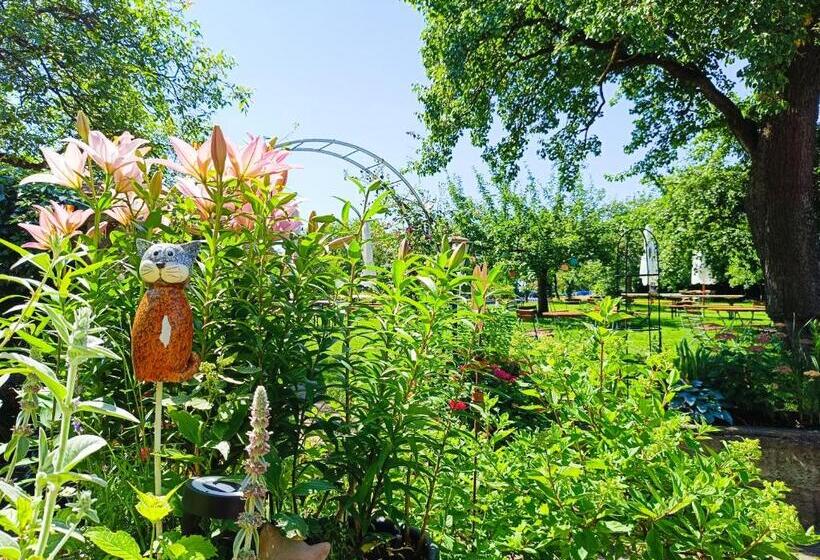 בית מלון כפרי Landgasthof Zum Rappen