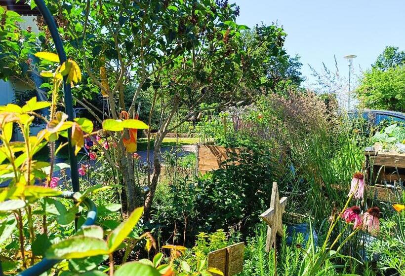 בית מלון כפרי Landgasthof Zum Rappen