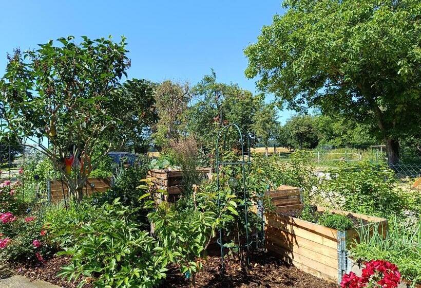 בית מלון כפרי Landgasthof Zum Rappen