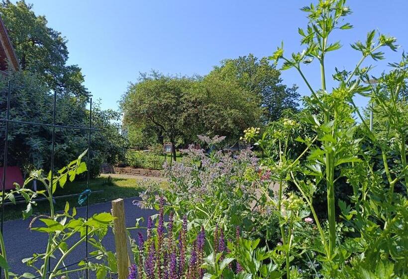 בית מלון כפרי Landgasthof Zum Rappen