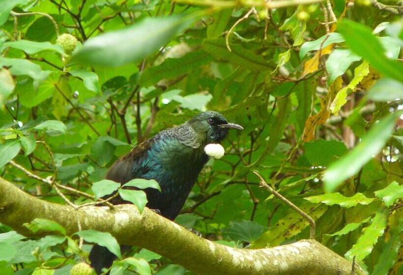 فندق Mount Tutu Eco Sanctuary