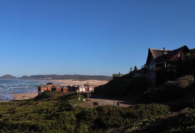 فندق Oyster Bay Beach Lodge