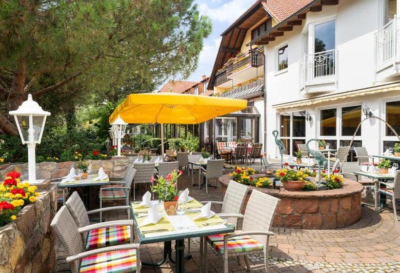 酒店 Residenz Immenhof