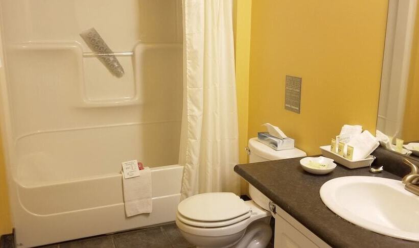 ホテル The Falls Inn   Walters Falls