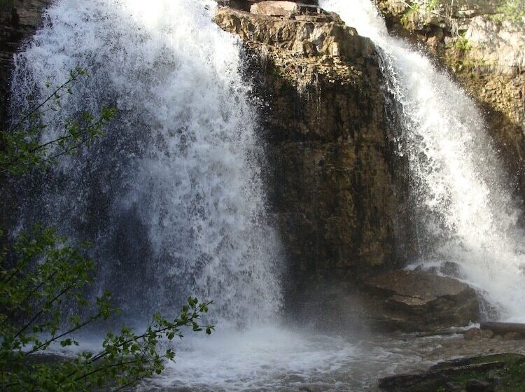 ホテル The Falls Inn   Walters Falls