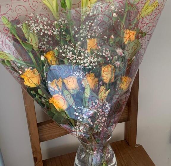 فندق Willows Guest House