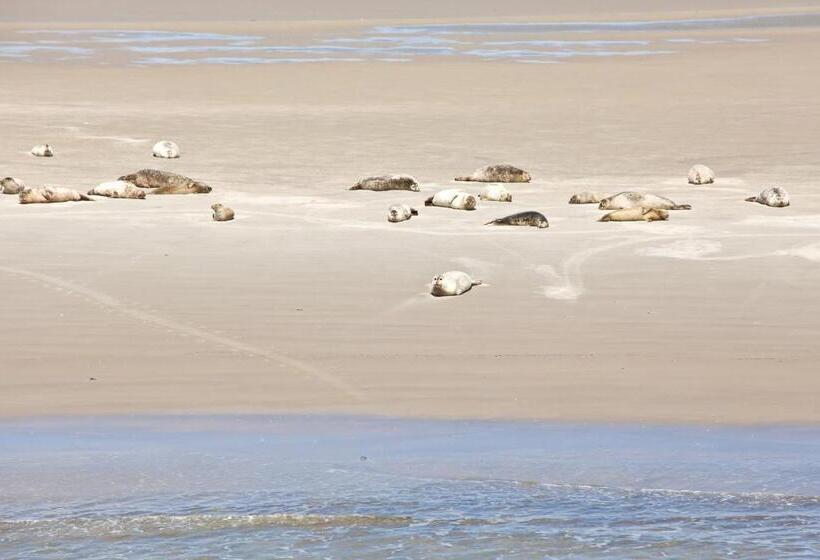 Anker S Hörn   Hotel & Restaurant Auf Der Hallig Langeness