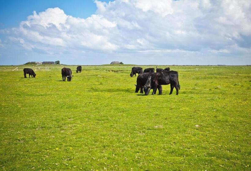 Anker S Hörn   Hotel & Restaurant Auf Der Hallig Langeness