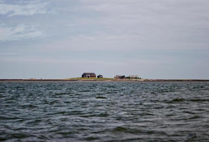 Anker S Hörn   Hotel & Restaurant Auf Der Hallig Langeness