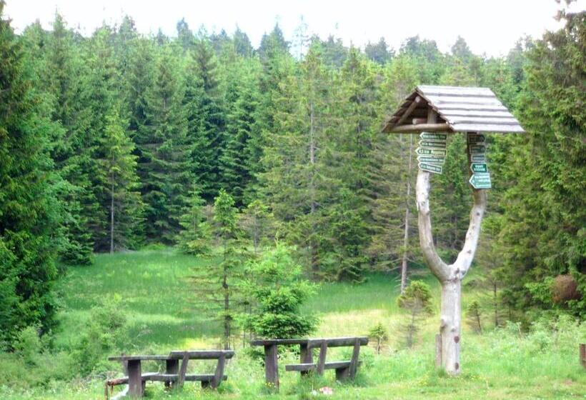 ホテル Aktiv Pension