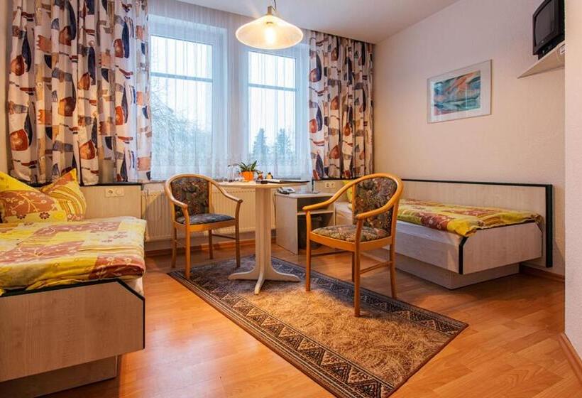 ホテル Aktiv Pension